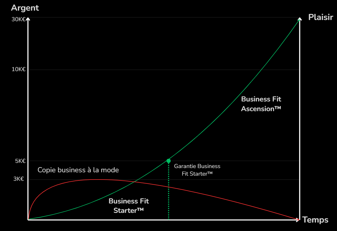 business-fit-starter-graph-1024x704-1